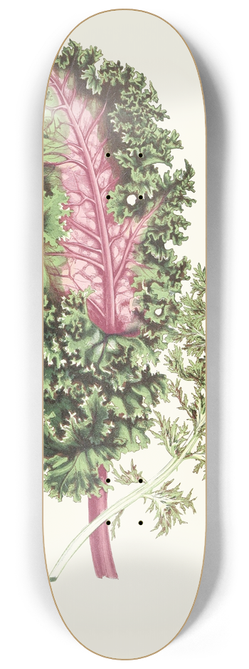 Edward Joseph Lowe - Lesplantesfeuill02lowe 8.25 inch art skate deck