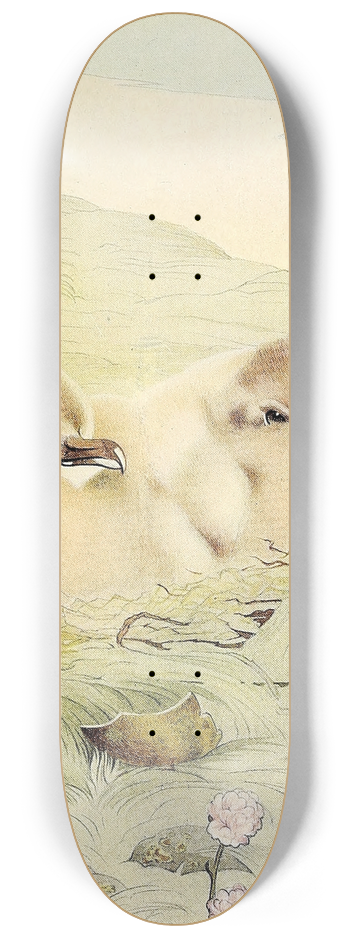 Edward Julius Detmold - The Skua 8.25 inch art skate deck
