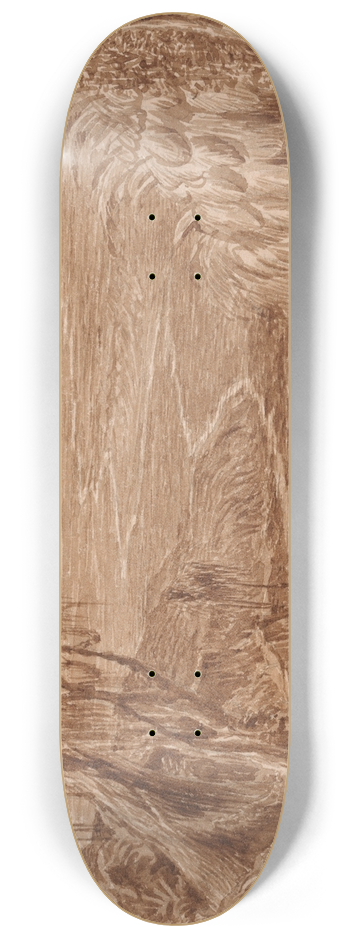 Edward Lear - Albania 8.25 inch art skate deck