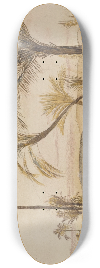 Edward Lear - Wady Halfen, Egypt 8.25 inch art skate deck