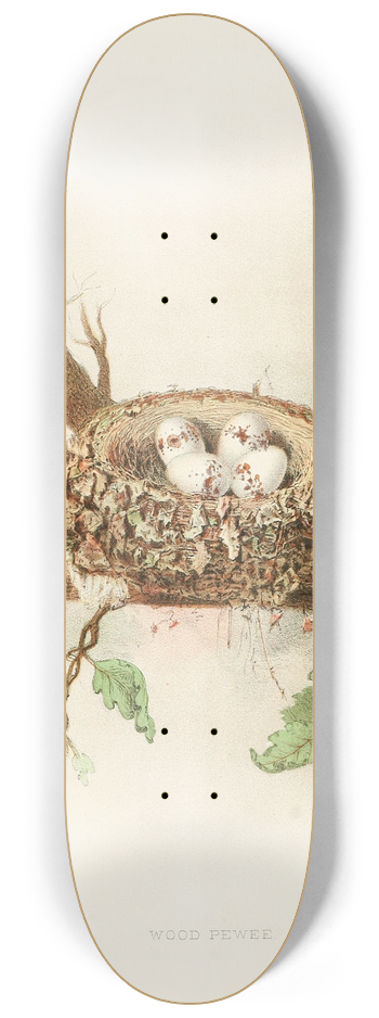 Edwin L. Sheppard - Wood Pewee 8.25 inch art skate deck