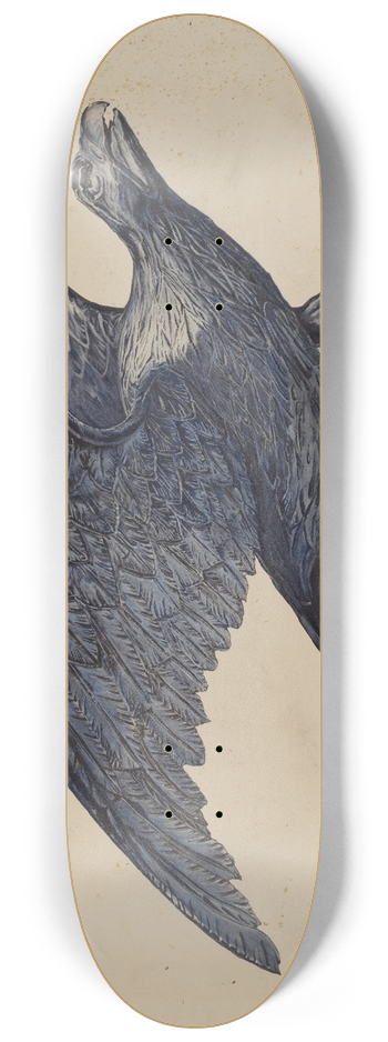 Elisabeth Fulda - Eagle 8.25 inch art skate deck
