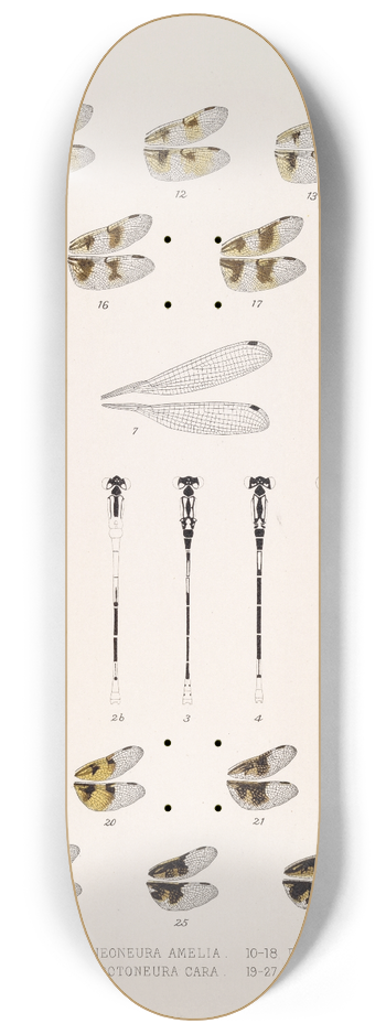 Frederick DuCane Godman - Insecta Neuroptera Pl 3 8.25 inch art skate deck