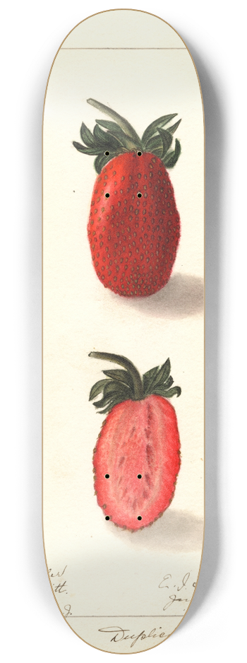 Ellen Isham Schutt - Fragaria: Kevitts Wonder 8.25 inch art skate deck