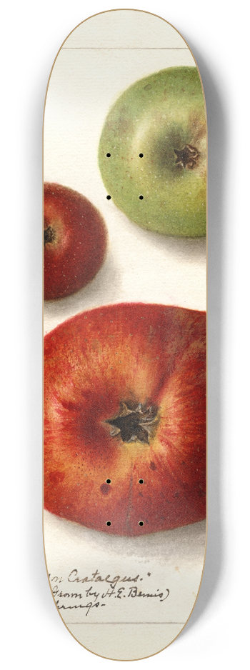 Ellen Isham Schutt - Malus domestica 8.25 inch art skate deck