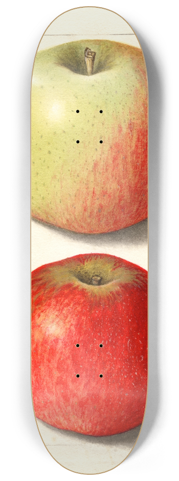 Ellen Isham Schutt - Malus domestica: Alexander Tillage 8.25 inch art skate deck