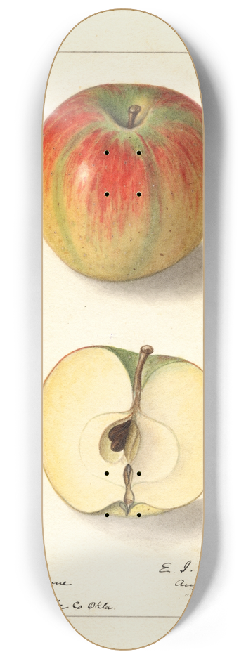 Ellen Isham Schutt - Malus domestica: Texala 8.25 inch art skate deck