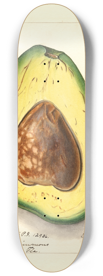 Ellen Isham Schutt - Persea: Pollock 8.25 inch art skate deck