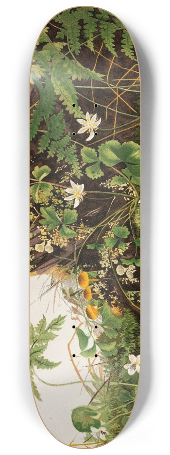 Ellen Robbins - Wild Flowers No. 1 8.25 inch art skate deck