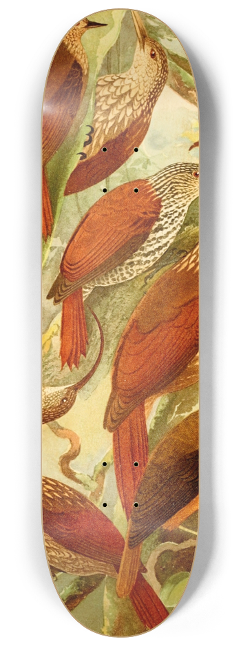 Emil August Gldi - Arapaus 8.25 inch art skate deck