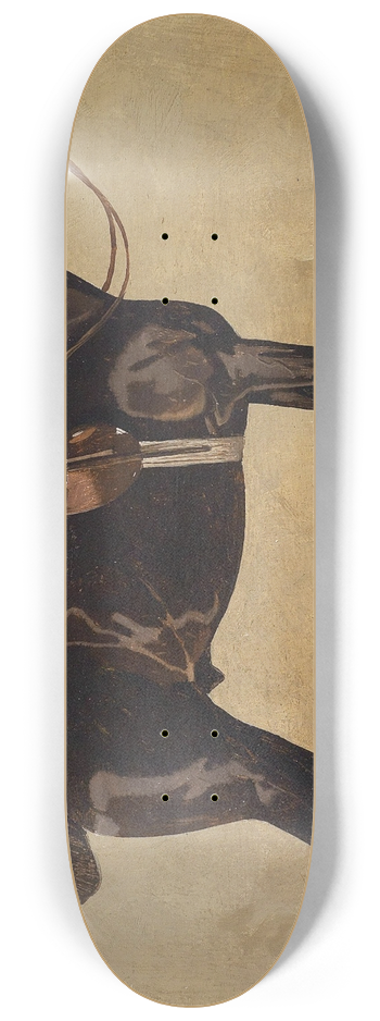 Emil Volkers - Rappe 8.25 inch art skate deck