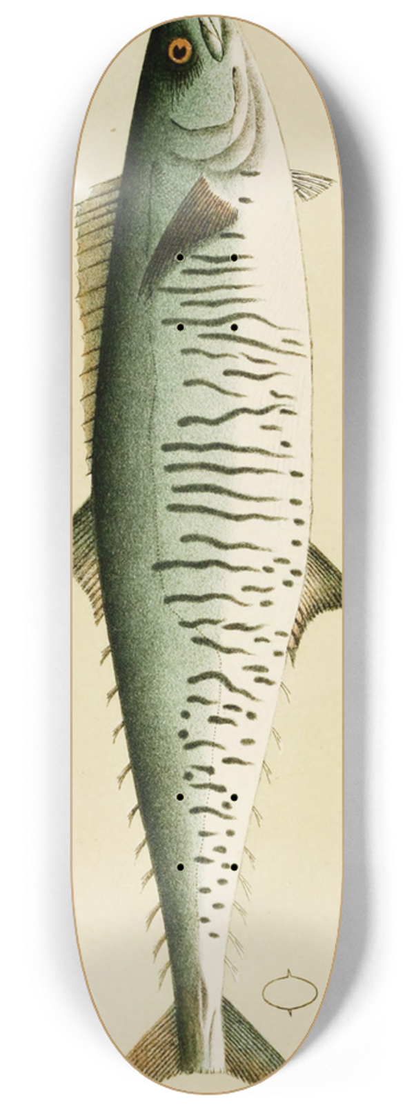 Frederick McCoy - Fishes I 8.25 inch art skate deck
