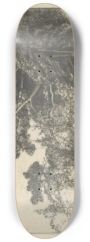 Ernest Haskell - Browns Oak 8.25 inch art skate deck