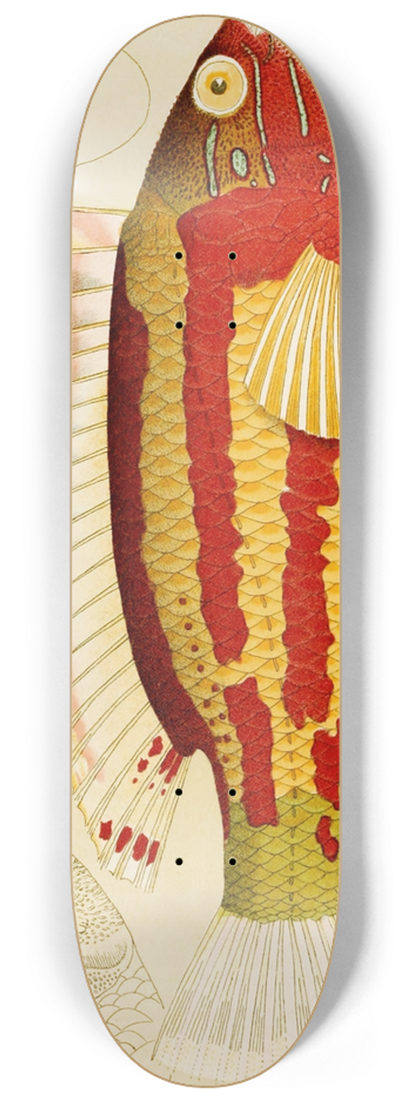 Frederick McCoy - Fishes III 8.25 inch art skate deck