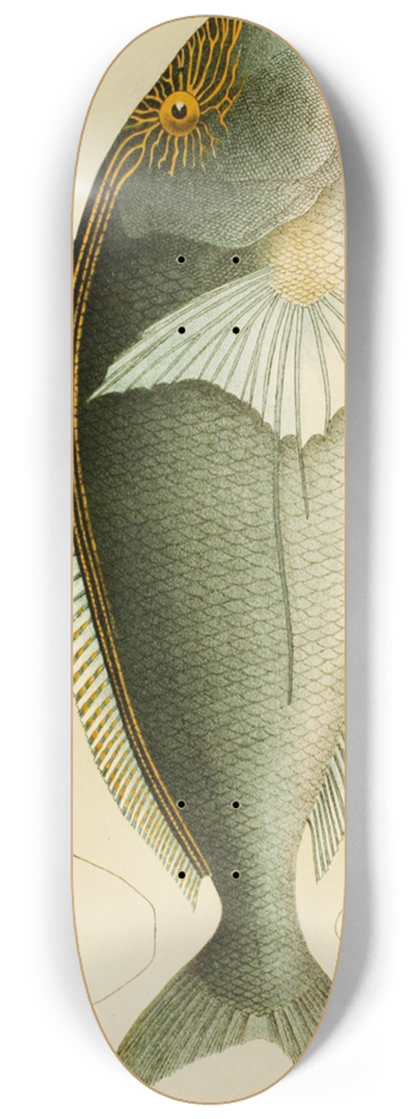 Frederick McCoy - Fishes V 8.25 inch art skate deck