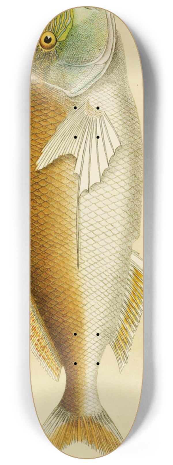 Frederick McCoy - Fishes VI 8.25 inch art skate deck