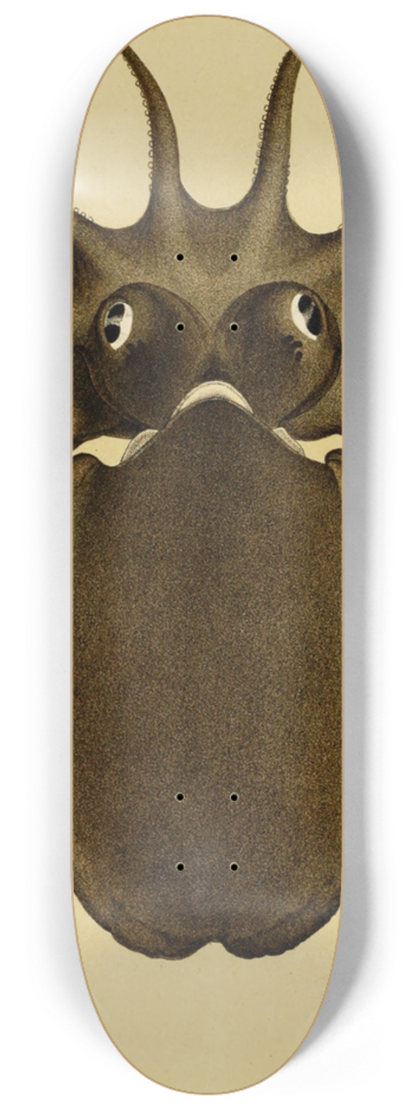 Frederick McCoy - Mollusca V 8.25 inch art skate deck