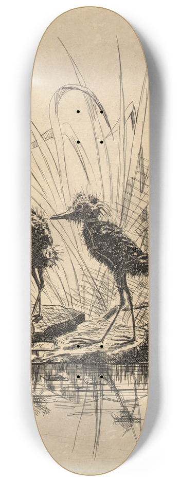 Frederick Stuart Church - Two Birds 8.25 inch art skate deck