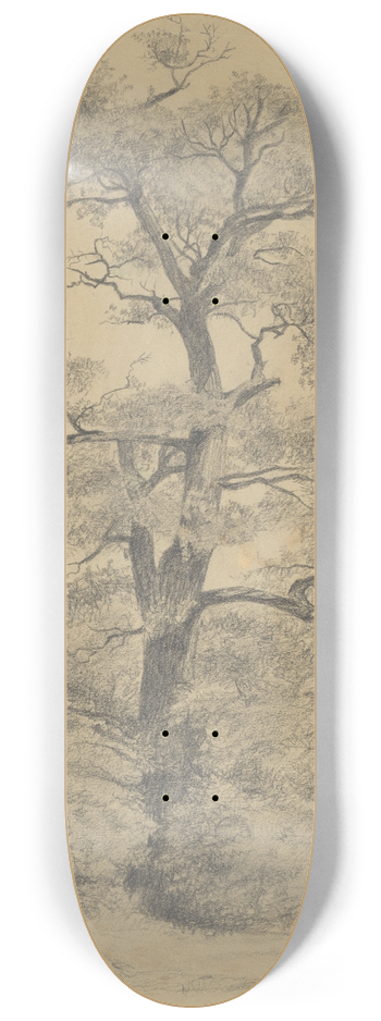 Eugne Jansson - From Nature 8.25 inch art skate deck