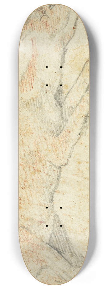 Federico Zuccaro - Recumbent Deer 8.25 inch art skate deck