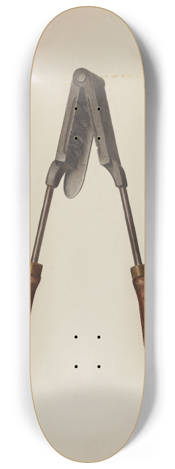 Fred Hassebrock - Bullet Mold 8.25 inch art skate deck