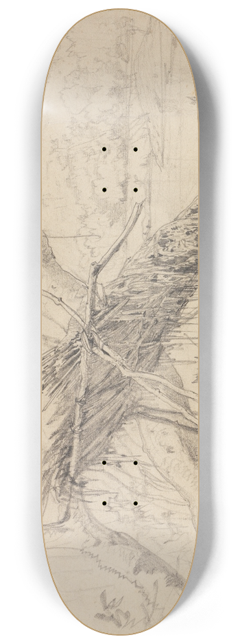 Ferdinand Keller - Fischerhtte am Parahyba 8.25 inch art skate deck