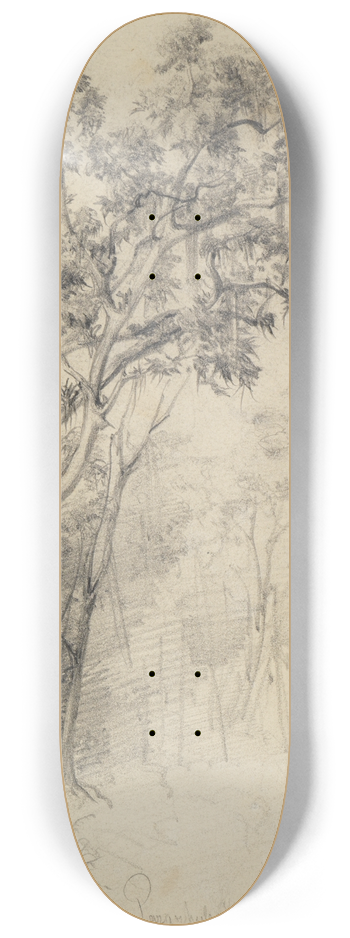 Ferdinand Keller - Im Urwald- Baumstudie 8.25 inch art skate deck
