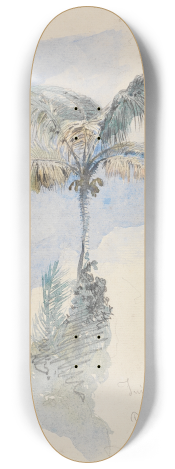 Ferdinand Keller - Palmenstudie 8.25 inch art skate deck