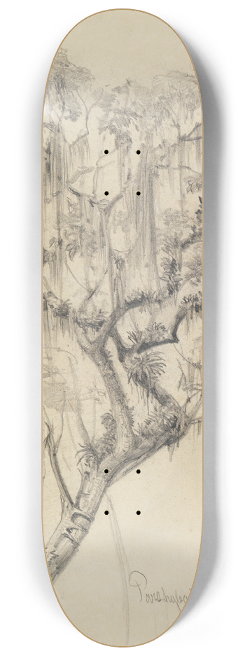Ferdinand Keller - Studie Baumkrone (mit herabhngenden Pflanzenfden) 8.25 inch art skate deck