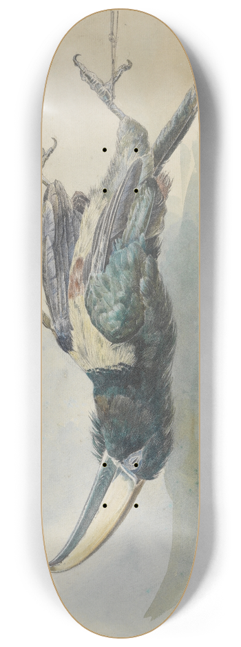 Ferdinand Keller - Studie eines Tukans (Pfefferfresser) 8.25 inch art skate deck