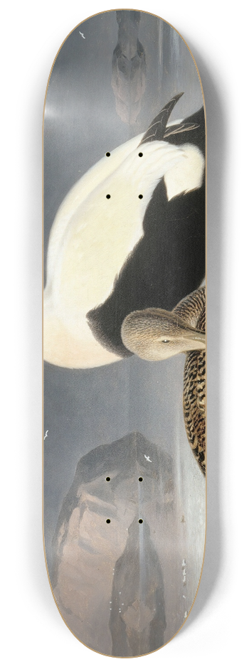 Ferdinand von Wright - Kaksi Haahkaa 8.25 inch art skate deck