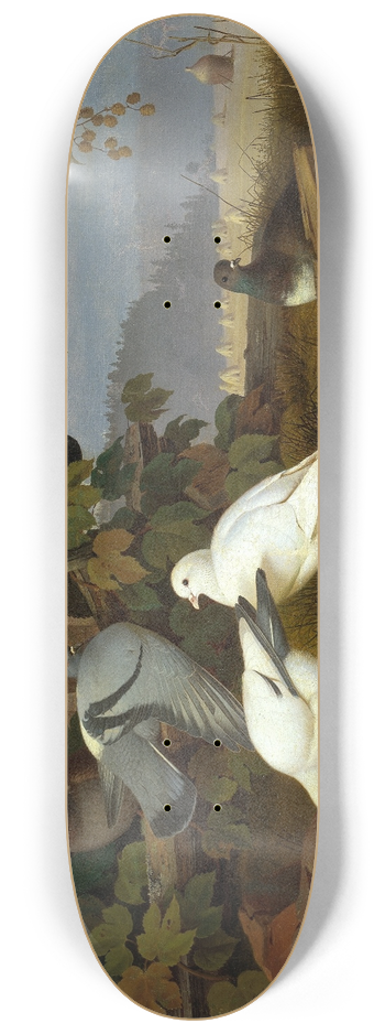 Ferdinand von Wright - Pigeons 8.25 inch art skate deck