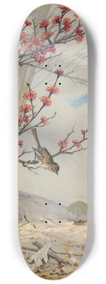 Fidelia Bridges - April 8.25 inch art skate deck