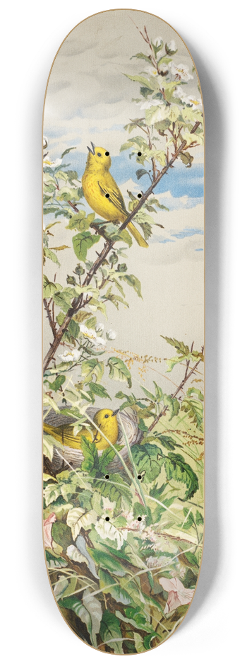 Fidelia Bridges - June 8.25 inch art skate deck