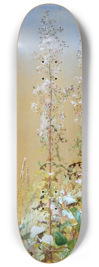 Fidelia Bridges - Untitled 8.25 inch art skate deck