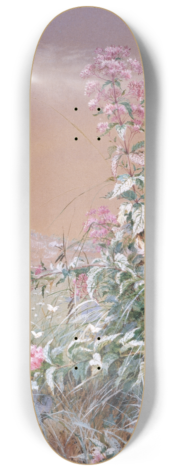 Fidelia Bridges - Untitled 8.25 inch art skate deck