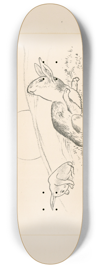 Flix Bracquemond - Deux lapins, la lune derrire colline. 8.25 inch art skate deck