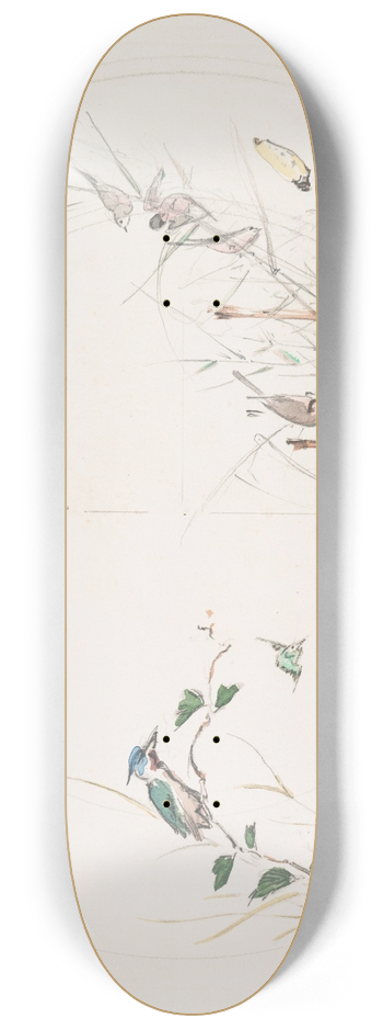 Flix Bracquemond - Le calme. 8.25 inch art skate deck