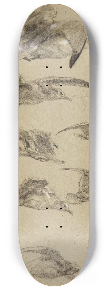 Flix Bracquemond - Mouettes 8.25 inch art skate deck