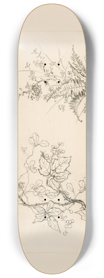 Flix Bracquemond - Ronce. 8.25 inch art skate deck