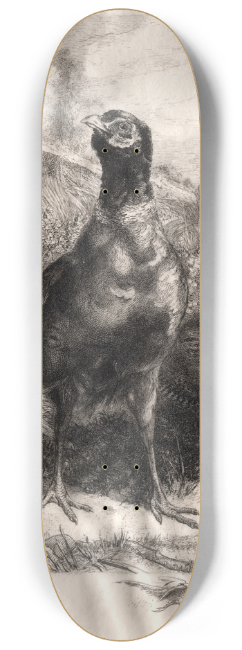 Flix Bracquemond - The Pheasants 8.25 inch art skate deck