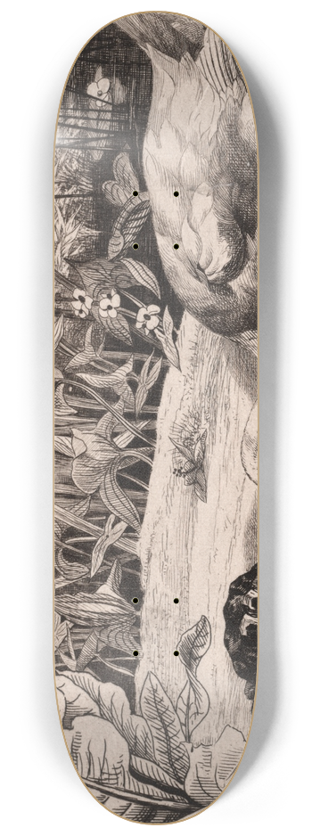 Flix Bracquemond - The Unknown 8.25 inch art skate deck