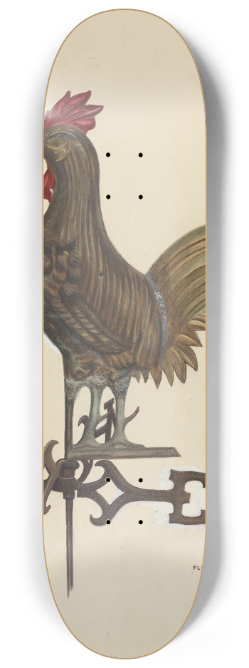 Florian Rokita - Weathercock 8.25 inch art skate deck