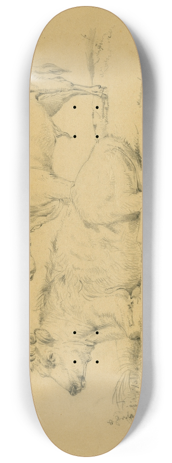 Floris Verster - Two cows on a pasture 8.25 inch art skate deck
