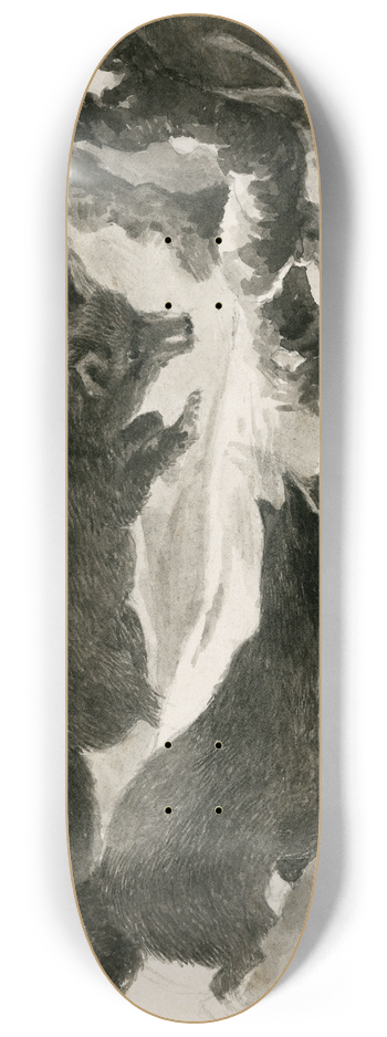 Floris Verster - Two foxes in the snow 8.25 inch art skate deck