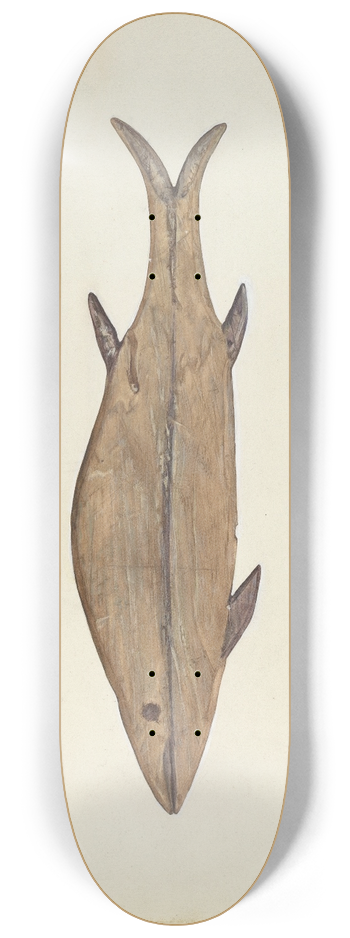 Frances Matsubara - Fish Weather Vane 8.25 inch art skate deck