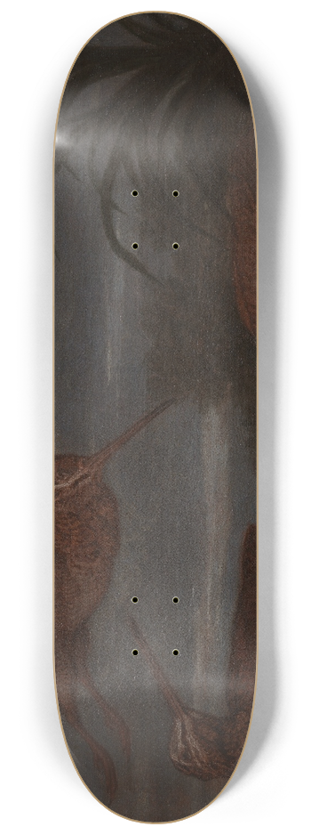 Francis Barlow - Woodcock at Dusk 8.25 inch art skate deck