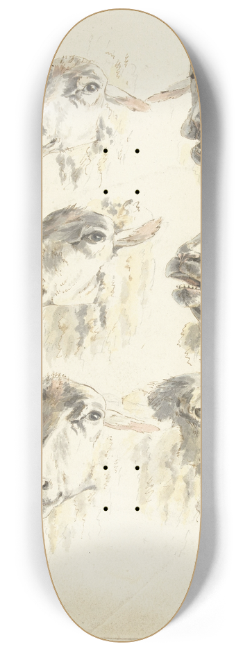 Franciscus Andreas Milatz - Studieblad met zes schaapskoppen 8.25 inch art skate deck