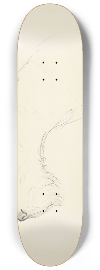 Francis Picabia - Chien de profil 8.25 inch art skate deck