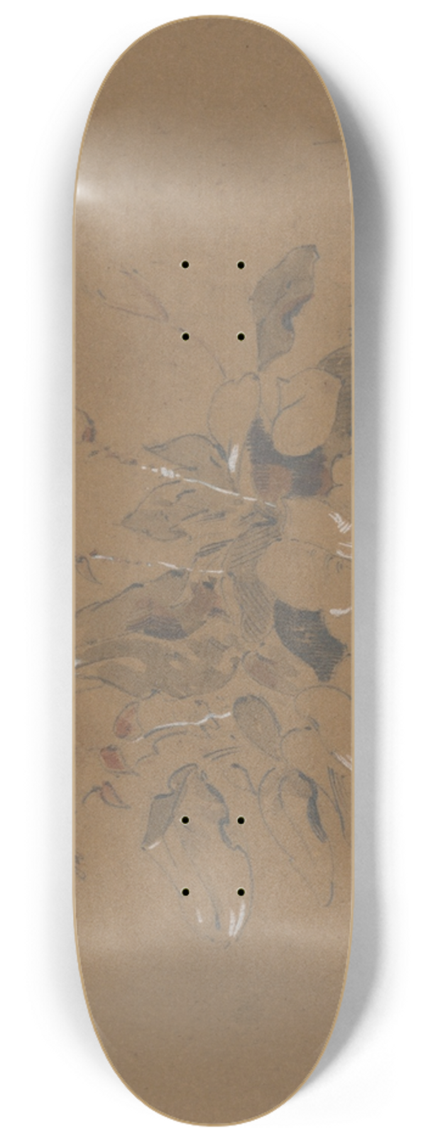 Friedrich Carl von Scheidlin - Study of Flowering Plant 8.25 inch art skate deck
